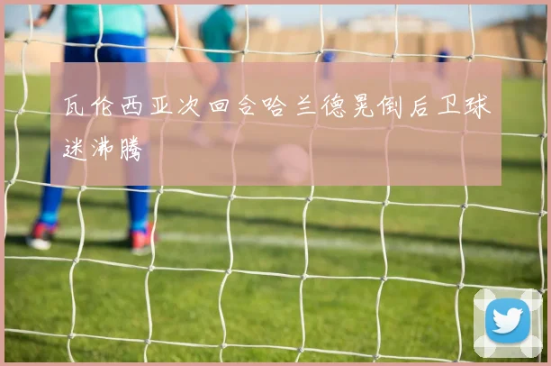 瓦伦西亚次回合哈兰德晃倒后卫球迷沸腾