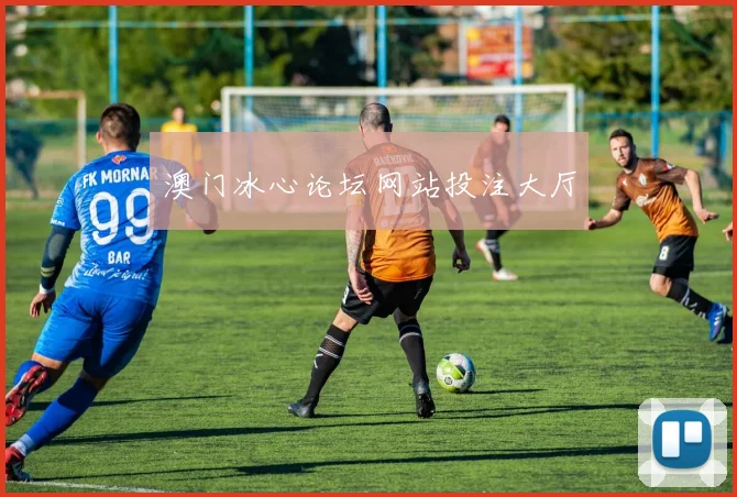 澳门冰心论坛网站投注大厅