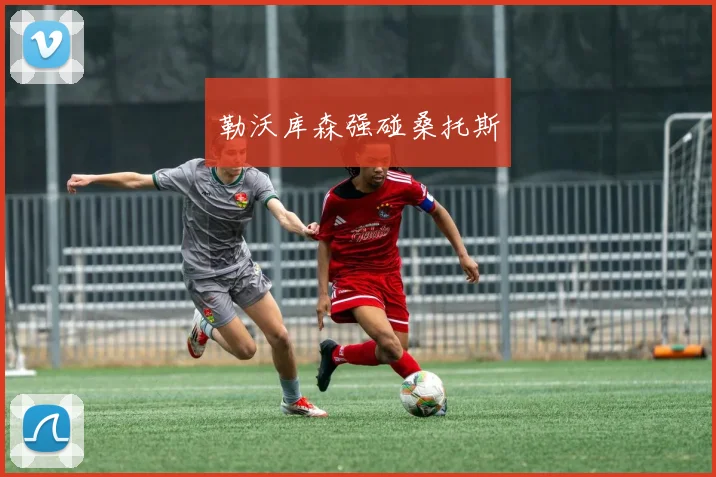 勒沃库森强碰桑托斯