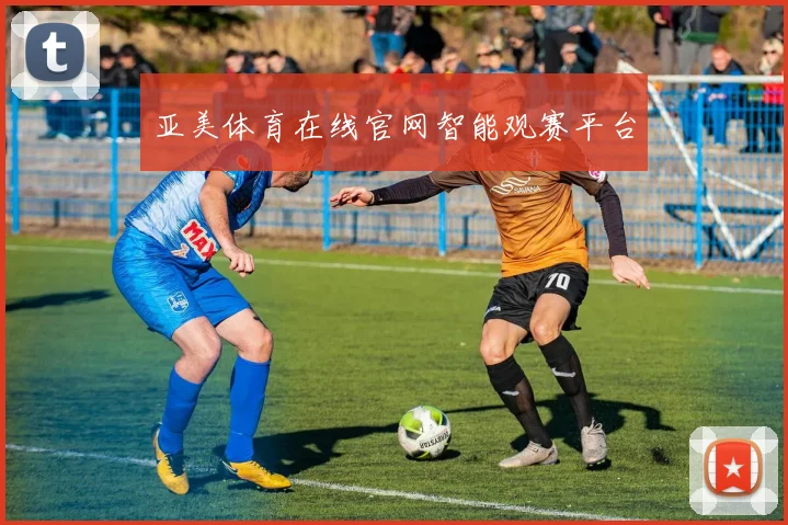 亚美体育在线官网智能观赛平台