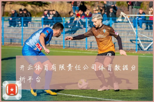 开云体育有限责任公司体育数据分析平台