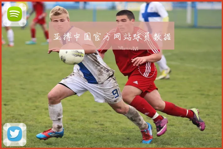 亚搏中国官方网站球员数据