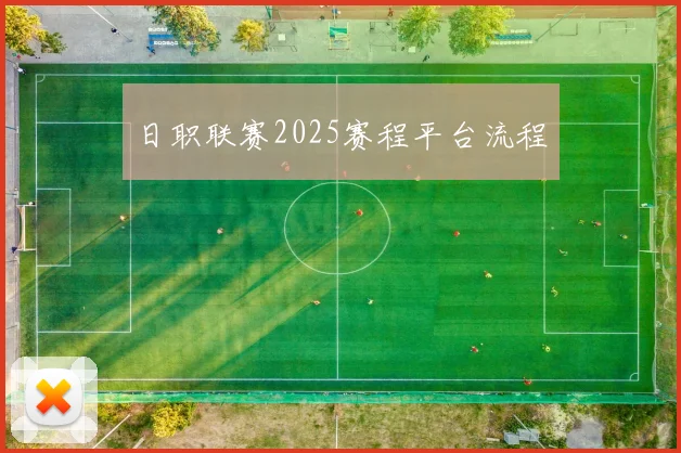 日职联赛2025赛程平台流程