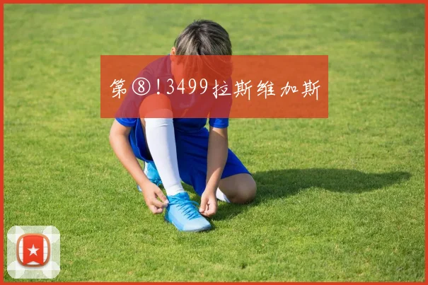 第⑧!3499拉斯维加斯