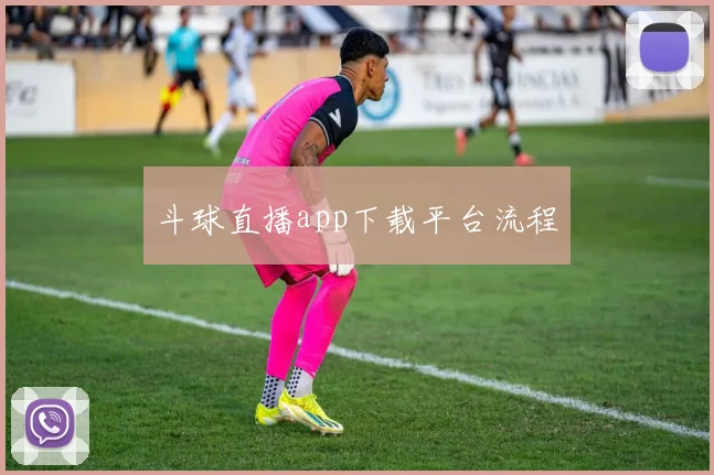 斗球直播app下载平台流程