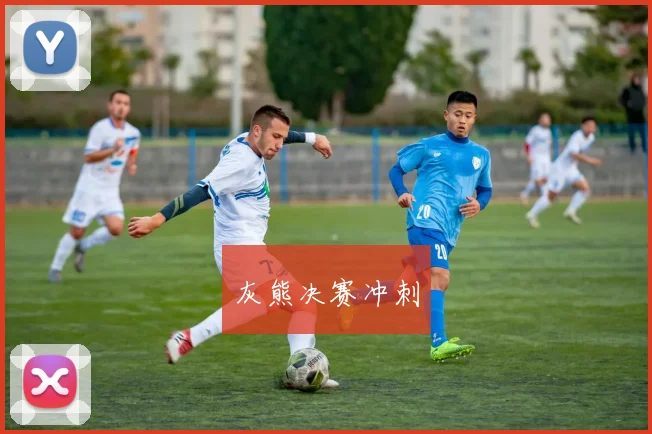 灰熊决赛冲刺