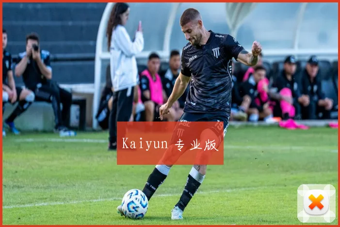 Kaiyun 专业版
