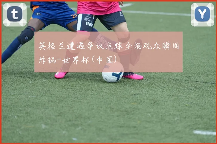英格兰遭遇争议点球全场观众瞬间炸锅-世界杯(中国)