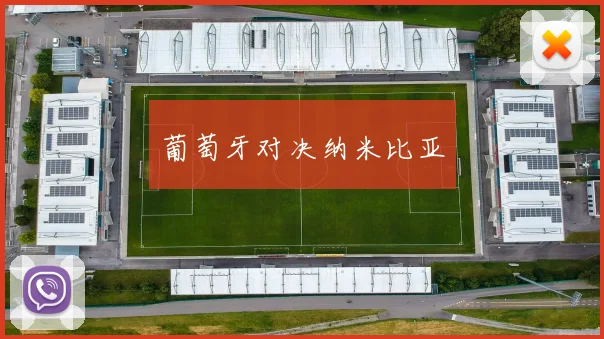 葡萄牙对决纳米比亚