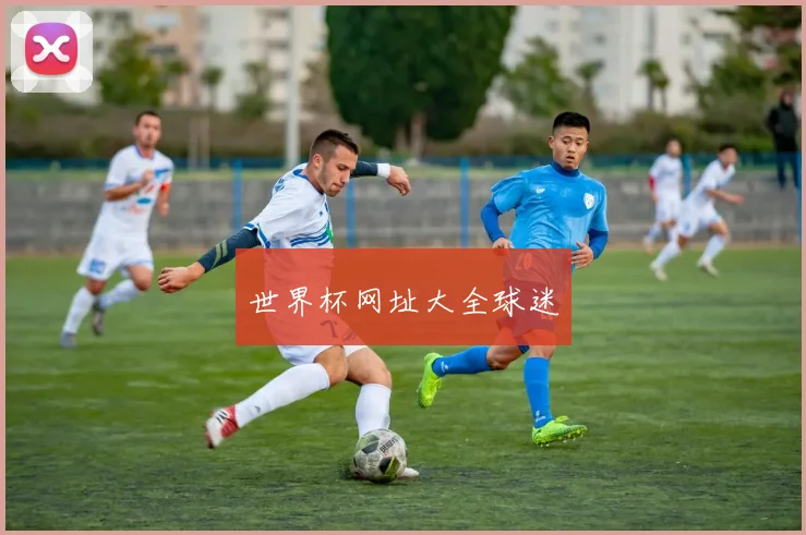 世界杯网址大全球迷