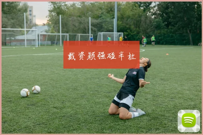 戴资颖强碰辛杜