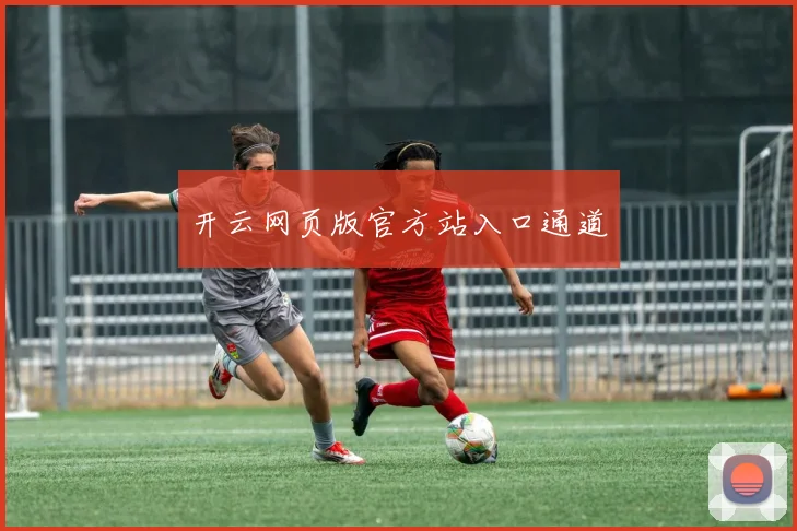 开云网页版官方站入口通道