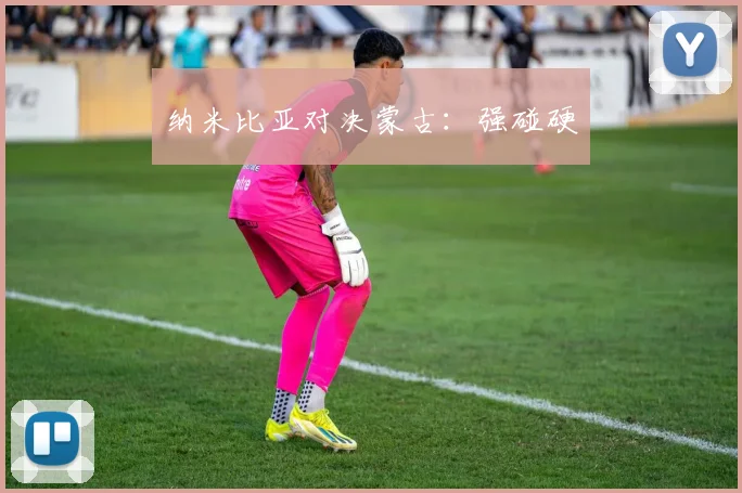 纳米比亚对决蒙古：强碰硬