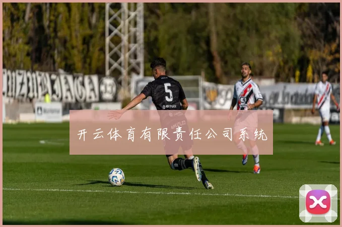 开云体育有限责任公司系统