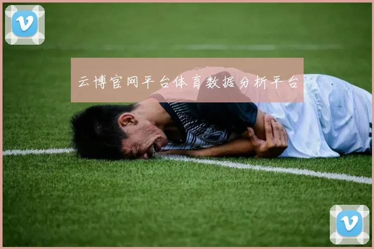 云博官网平台体育数据分析平台
