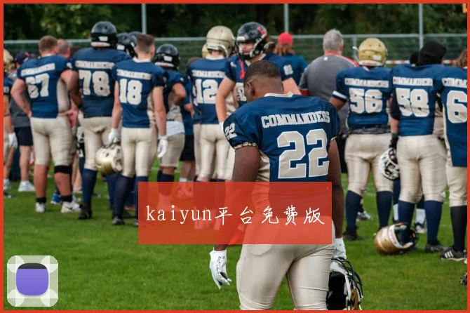 kaiyun平台免费版