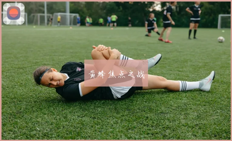 黄蜂焦点之战