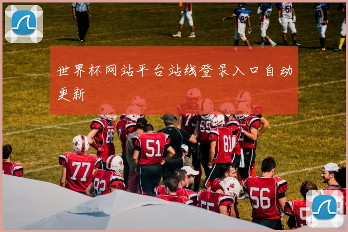 世界杯网站平台站线登录入口自动更新