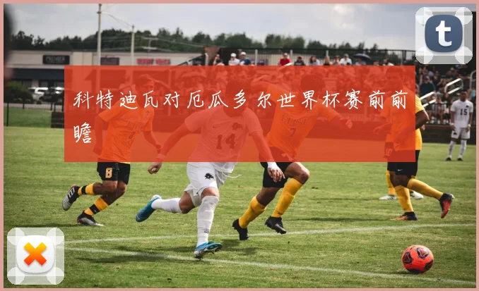 科特迪瓦对厄瓜多尔世界杯赛前前瞻