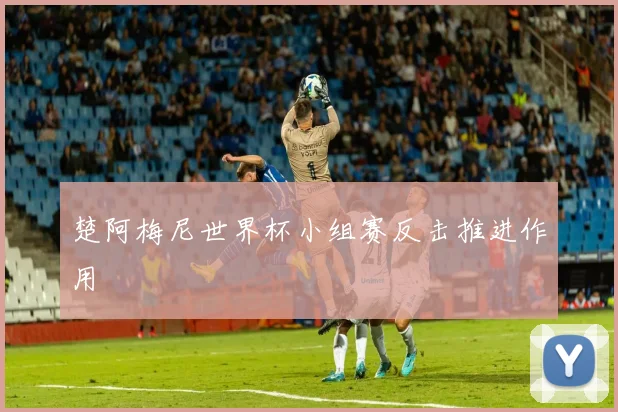 楚阿梅尼世界杯小组赛反击推进作用