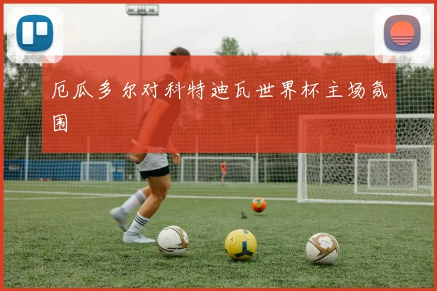 厄瓜多尔对科特迪瓦世界杯主场氛围