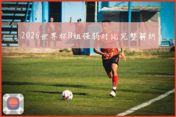 2026世界杯B组强弱对比完整解析